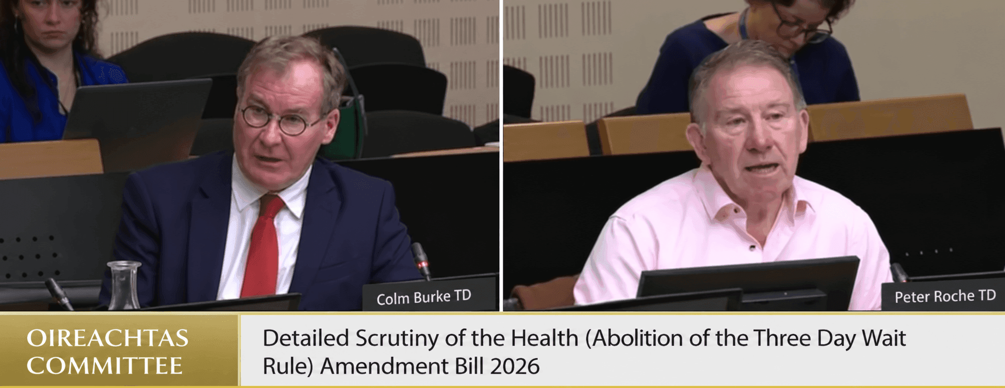 Oireachtas Committee Colm Burke and Peter Roche.png